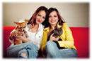 Animaux domestiques chiffres