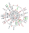Horoscope thme astral