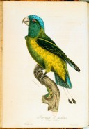 http://gallica.bnf.fr/ark:/12148/btv1b21000500.f27.thumbnail