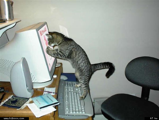 http://www.hiboox.com/images/0407/fad70e51.jpg