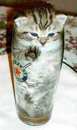 http://img263.imageshack.us/img263/7093/pic802ri7.jpg