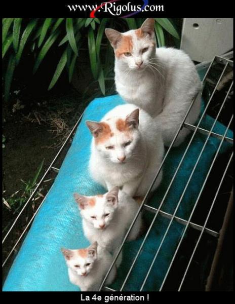 http://imagesforum.doctissimo.fr/mesimages/3595612/k0269.jpg
